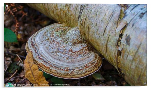 Natures Marble Acrylic by GJS Photography Artist