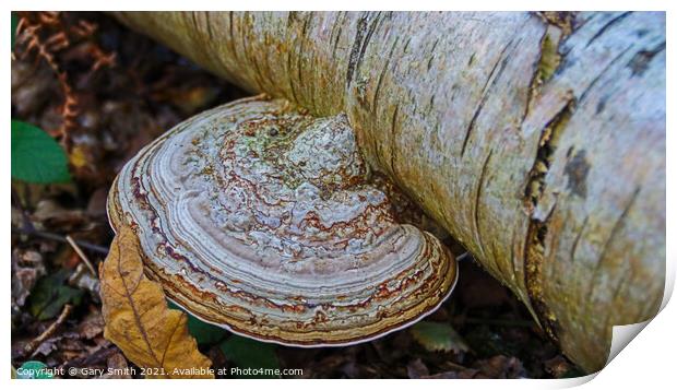 Natures Marble Print by GJS Photography Artist