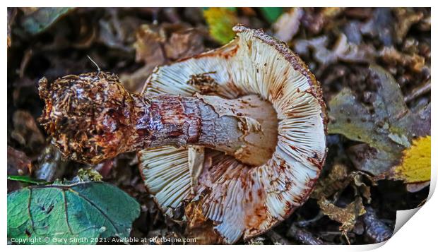Uprooted Mushroom  Print by GJS Photography Artist