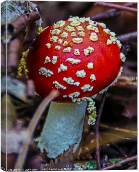 Fly Agaric (Alice in Wonderland) Canvas Print by GJS Photography Artist