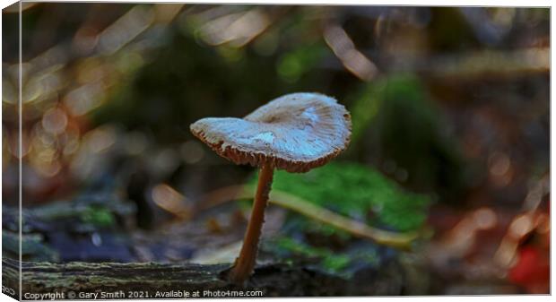 Detailed Mushroom Fungi on Stump Canvas Print by GJS Photography Artist