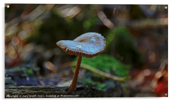 Detailed Mushroom Fungi on Stump Acrylic by GJS Photography Artist
