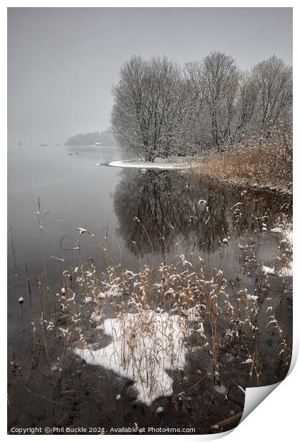 Derwent Water Grasses Print by Phil Buckle