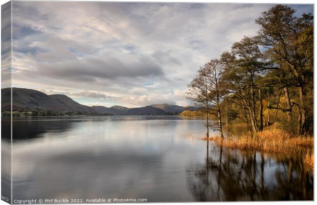 Ullswater trees and reflections Canvas Print by Phil Buckle