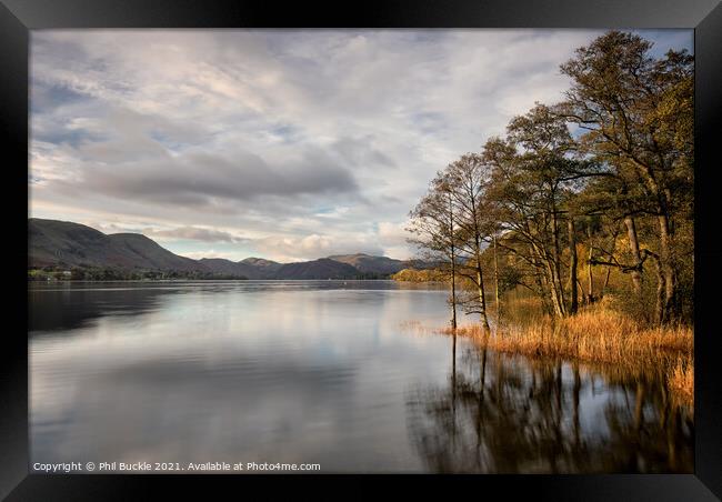 Ullswater trees and reflections Framed Print by Phil Buckle