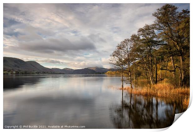 Ullswater trees and reflections Print by Phil Buckle