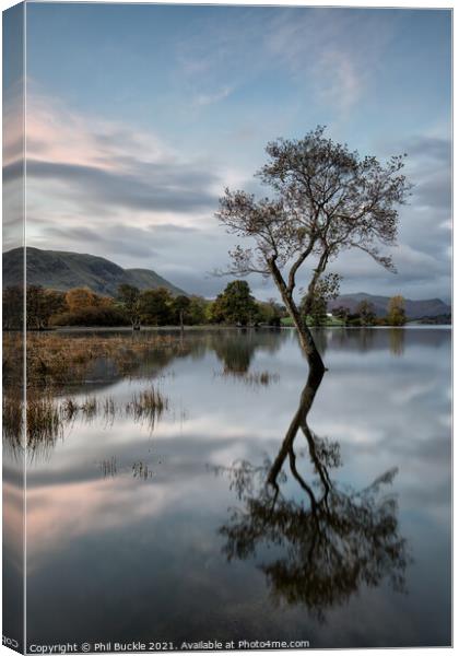 Ullswater isolated lone tree Canvas Print by Phil Buckle