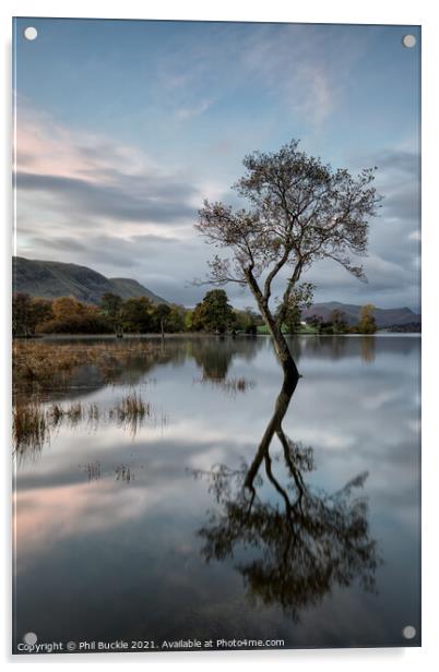 Ullswater isolated lone tree Acrylic by Phil Buckle