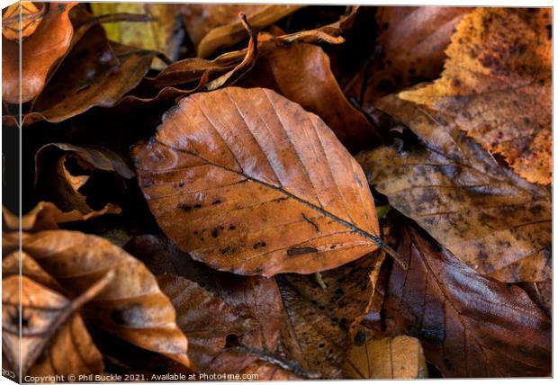 Autumn leaf litter Canvas Print by Phil Buckle