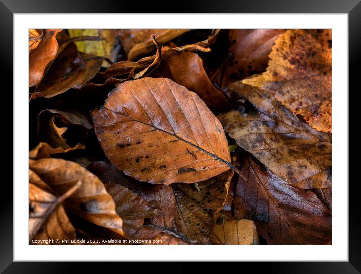 Autumn leaf litter Framed Mounted Print by Phil Buckle