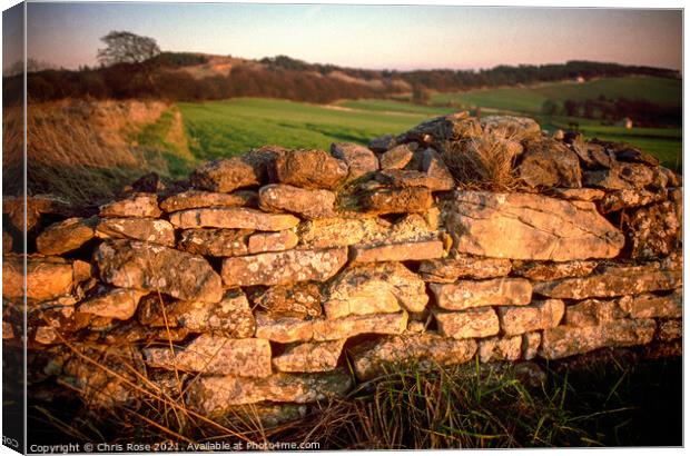 Cotswolds, late sun on a cotswold stone wall Canvas Print by Chris Rose