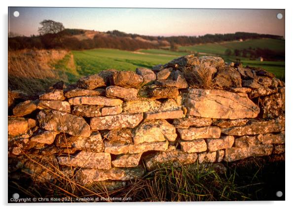 Cotswolds, late sun on a cotswold stone wall Acrylic by Chris Rose