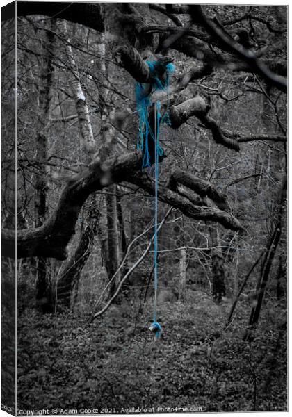Rope Swing | Limpsfield Common Canvas Print by Adam Cooke