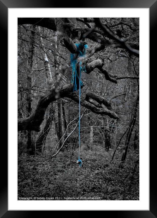 Rope Swing | Limpsfield Common Framed Mounted Print by Adam Cooke