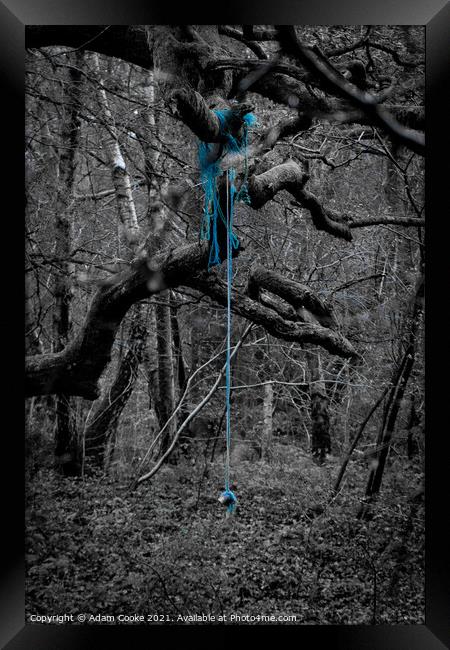 Rope Swing | Limpsfield Common Framed Print by Adam Cooke