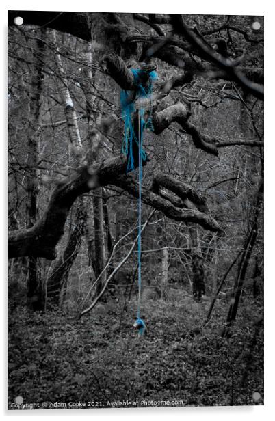 Rope Swing | Limpsfield Common Acrylic by Adam Cooke
