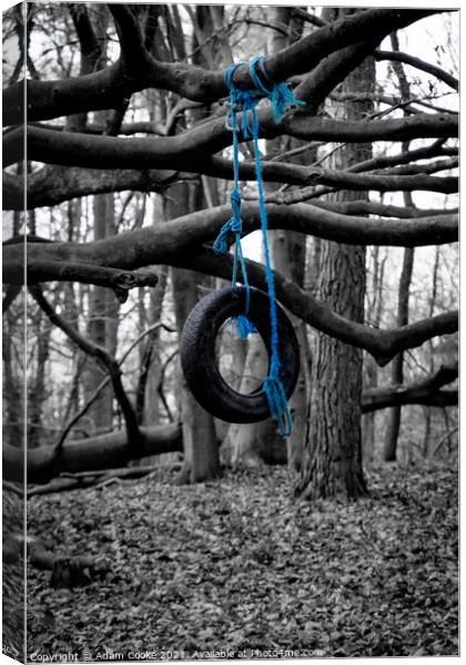 Tyre Swing | Limpsfield Common Canvas Print by Adam Cooke
