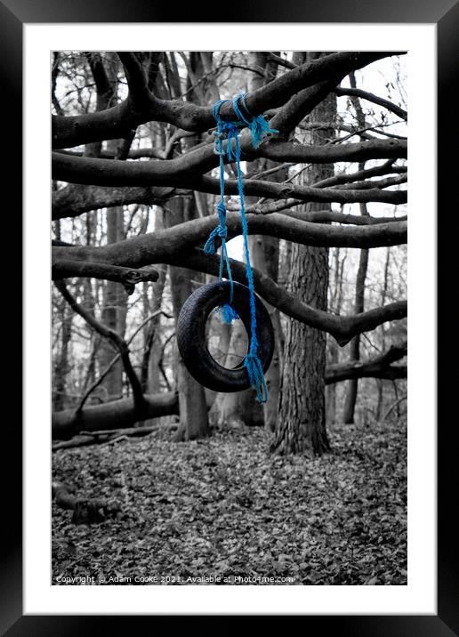 Tyre Swing | Limpsfield Common Framed Mounted Print by Adam Cooke
