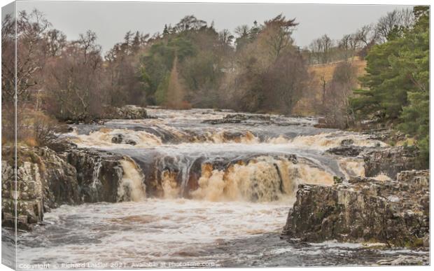Low Force Waterfall, Teesdale in Flood (1) Canvas Print by Richard Laidler