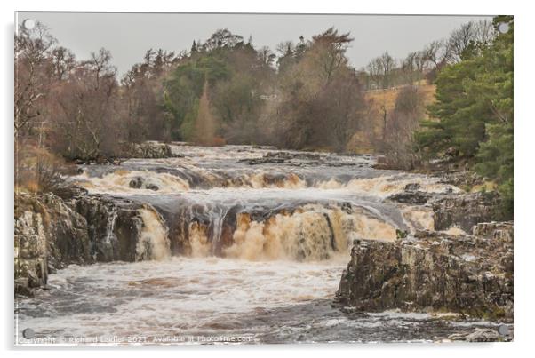 Low Force Waterfall, Teesdale in Flood (1) Acrylic by Richard Laidler