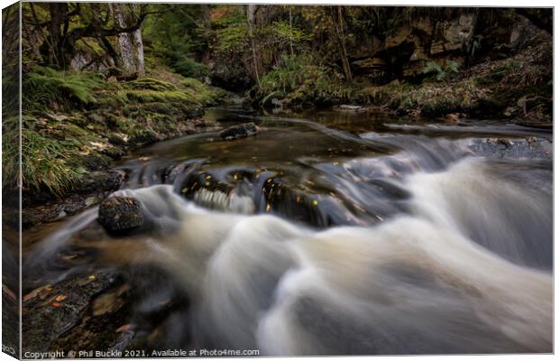 Aira Beck Falls Canvas Print by Phil Buckle