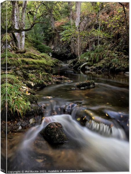 Early Autumn colours at Aira Beck Canvas Print by Phil Buckle