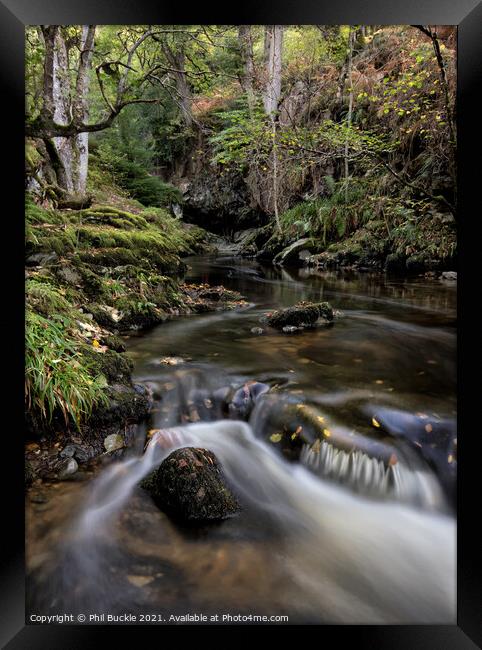 Early Autumn colours at Aira Beck Framed Print by Phil Buckle