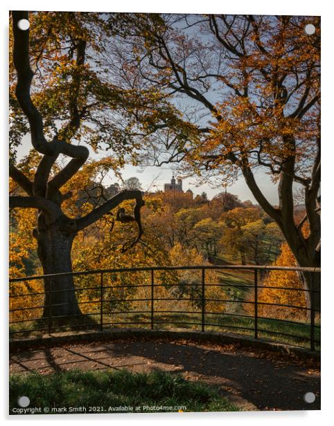 Autumn, Greenwich Park Acrylic by mark Smith