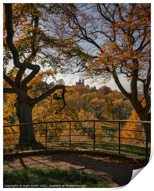Autumn, Greenwich Park Print by mark Smith