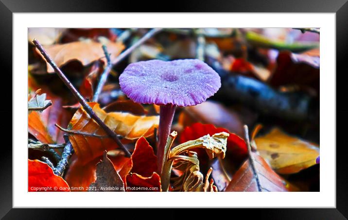 Sugarcoating Framed Mounted Print by GJS Photography Artist