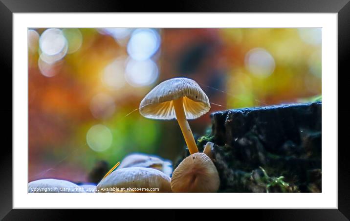 Standing Out! Framed Mounted Print by GJS Photography Artist