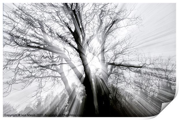 Spooky Tree Print by Iain Mavin