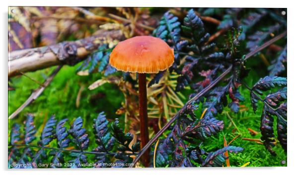 Orange Pleated Mushroom Acrylic by GJS Photography Artist