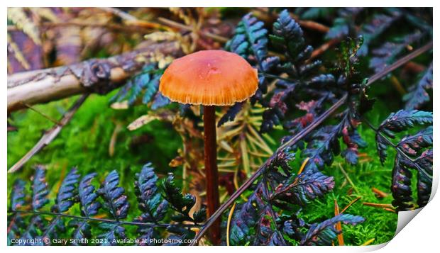 Orange Pleated Mushroom Print by GJS Photography Artist