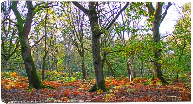 Colours of Autumn  Canvas Print by GJS Photography Artist