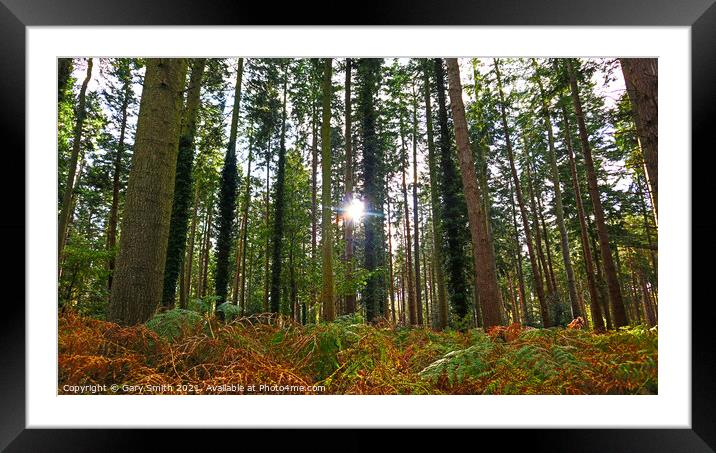 Sun Breaking Through Framed Mounted Print by GJS Photography Artist