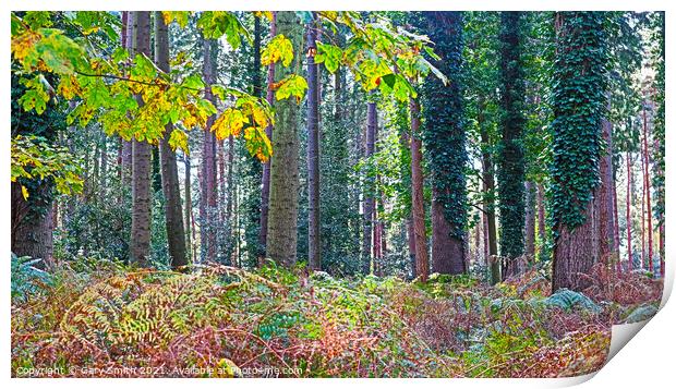 Trees and Ferns Print by GJS Photography Artist