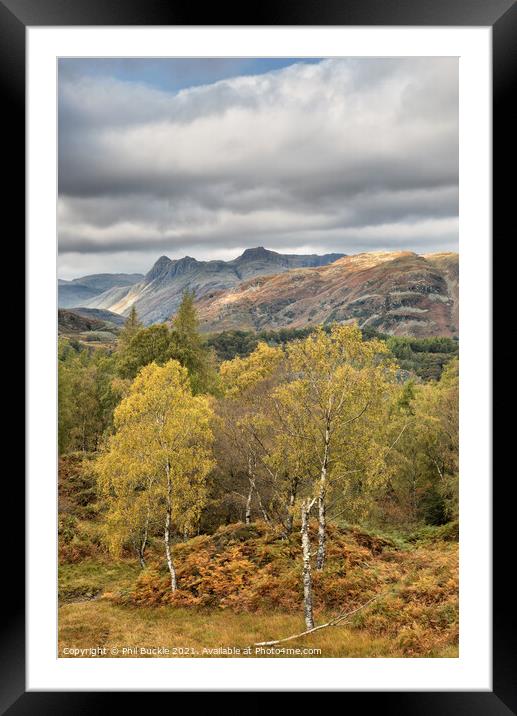Autumn on Holme Fell Framed Mounted Print by Phil Buckle