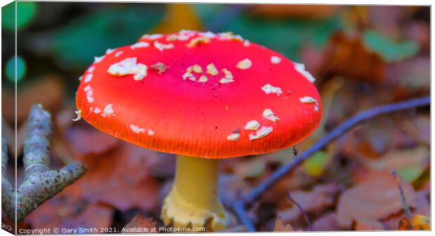 Fly Agaric (Alice in Wonderland) HDR Canvas Print by GJS Photography Artist