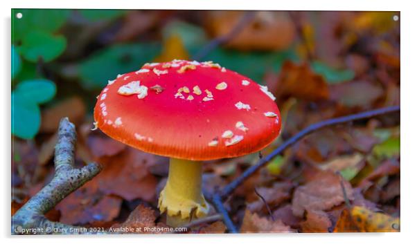 Fly Agaric (Alice in Wonderland) HDR Acrylic by GJS Photography Artist