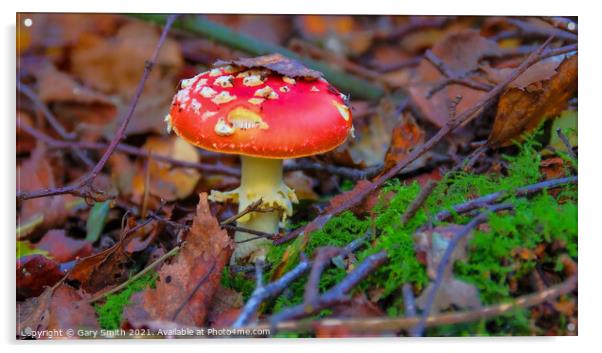 Fly Agaric (Alice in Wonderland) in Leaves Acrylic by GJS Photography Artist