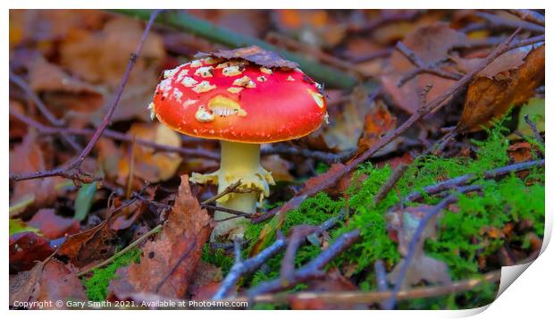 Fly Agaric (Alice in Wonderland) in Leaves Print by GJS Photography Artist