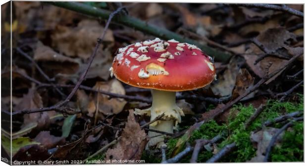 Fly Agaric (Alice in Wonderland)  Canvas Print by GJS Photography Artist