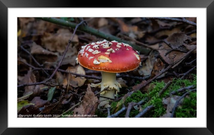 Fly Agaric (Alice in Wonderland)  Framed Mounted Print by GJS Photography Artist