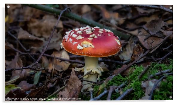Fly Agaric (Alice in Wonderland)  Acrylic by GJS Photography Artist