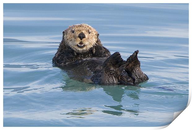 Sea Otter  Print by Thomas Schaeffer