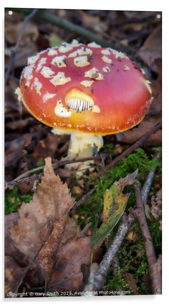 Fly Agaric (Alice in Wonderland) Holy Acrylic by GJS Photography Artist
