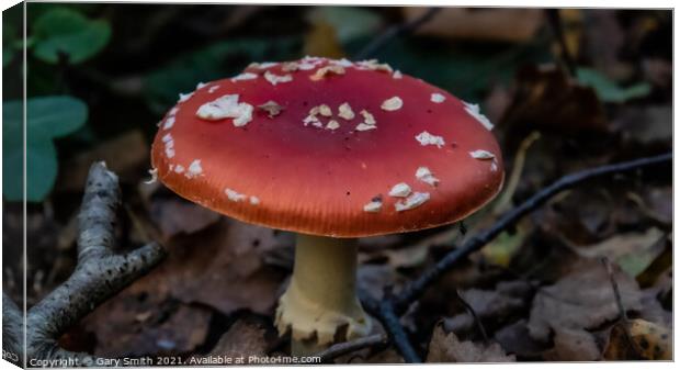 Fly Agaric (Alice in Wonderland) Closeup Canvas Print by GJS Photography Artist