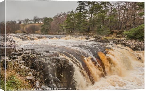 Low Force Waterfall, Teesdale, in Flood (2) Canvas Print by Richard Laidler