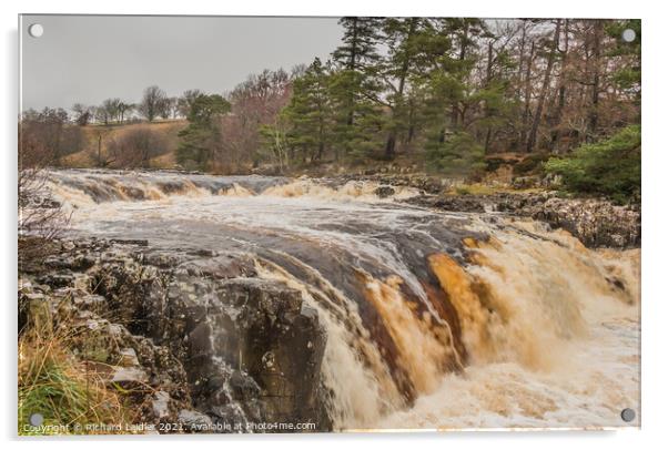 Low Force Waterfall, Teesdale, in Flood (2) Acrylic by Richard Laidler